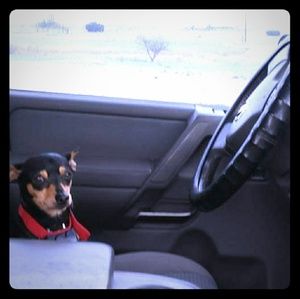 Meet your Posher, Lisa